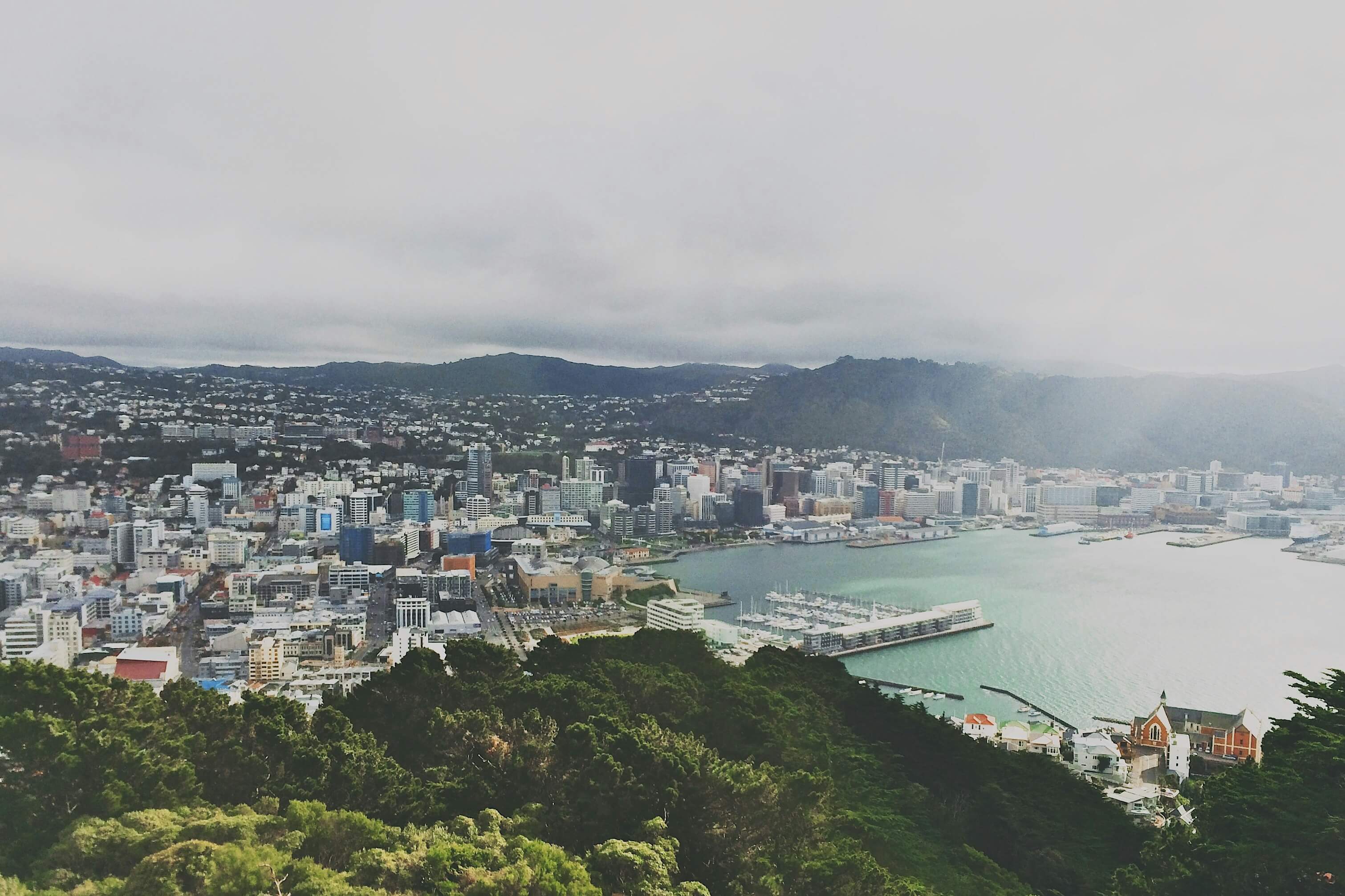 Photo of the Bay in Wellington