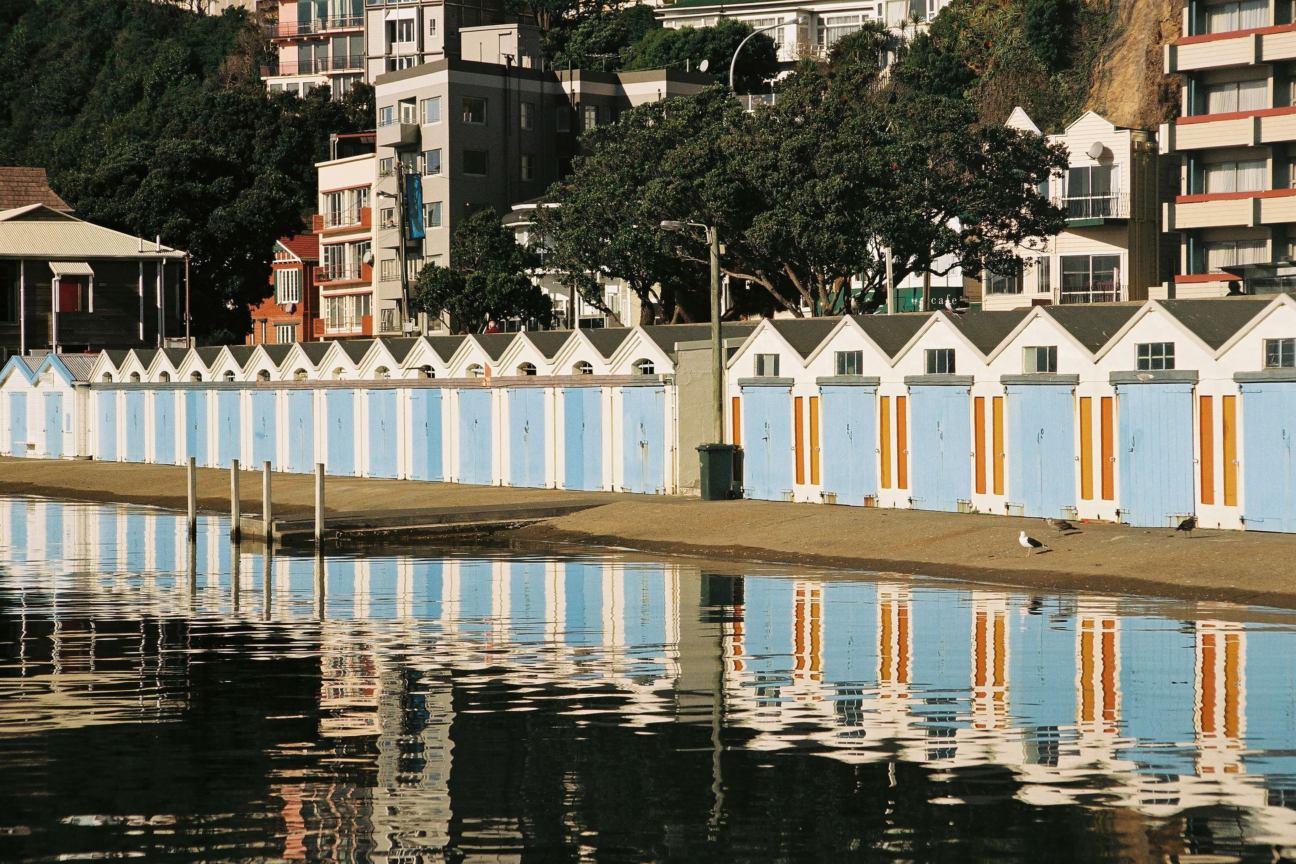 A shot of the boardwalk in Wellington